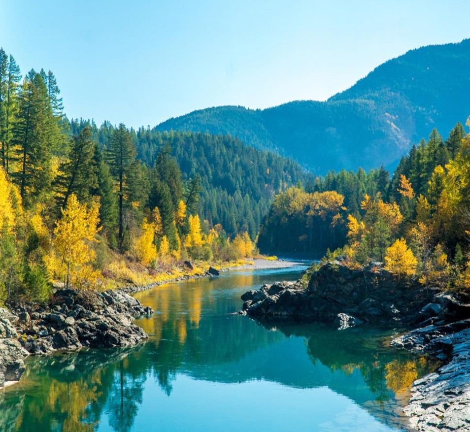 beautiful view of Yellowstone