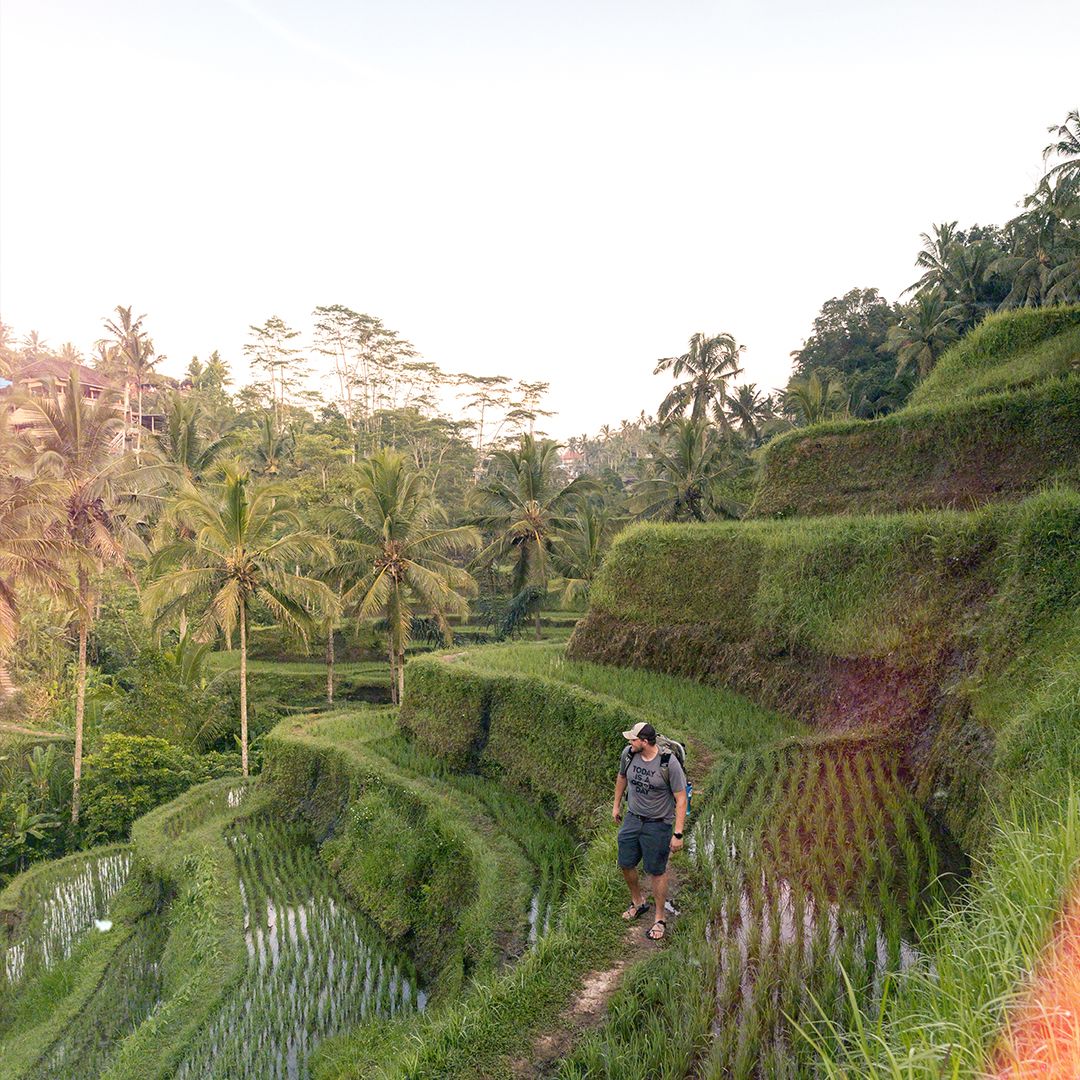 AndyAustin_3_IG Tegalang Rice Terraces: The rice terraces of Ubud have risen in popularity the last few years. For almost an hour I wandered around these beautiful terraces alone, listening to the many beautiful birds and insects that inhabit the area.